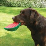 Rosewood Biosafe Watermelon Dog Toy