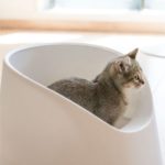 pidan® Open Cat Litter Box