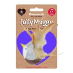 Jolly Moggy Catnip Tune Chaser Bird