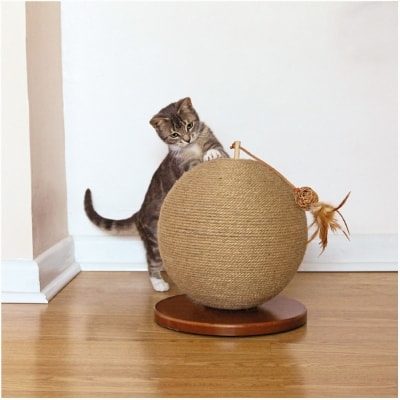 Rosewood Parsley Cat Scratcher