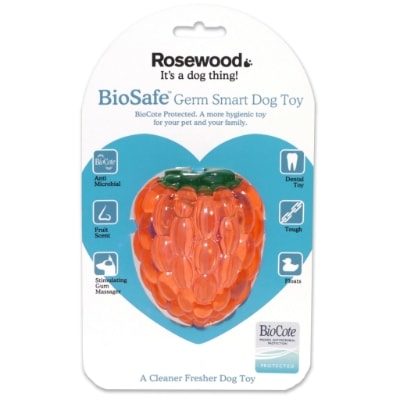Rosewood Biosafe Raspberry Dog Toy