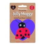 Jolly Moggy Catnip Tune Chaser Ladybird