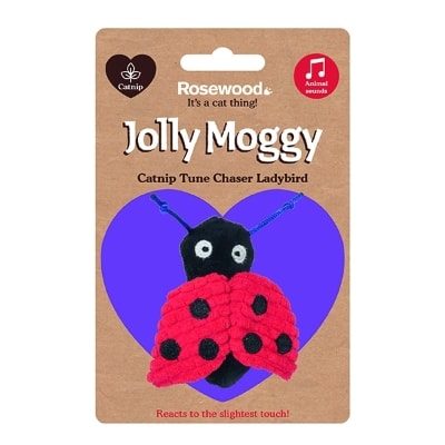 Jolly Moggy Catnip Tune Chaser Ladybird