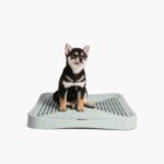 pidan® Dog Training Tray