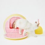 Vetreska® Fruity Cat Litter Box – Grapefruit