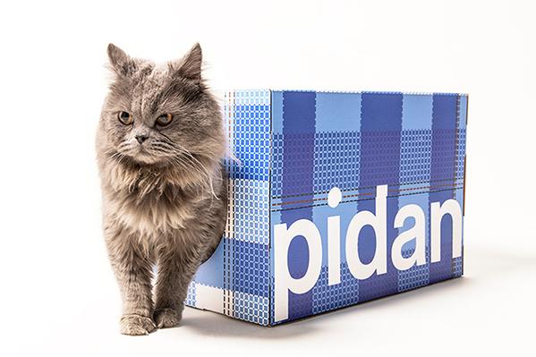 pidan® Cat Scratcher – Tissue box