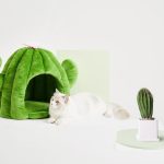 Vetreska® Fruity Pet Bed – Cactus