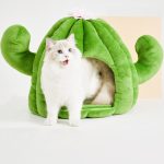 Vetreska® Fruity Pet Bed – Cactus
