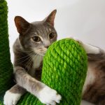 Vetreska ® Cat Scratching Tree – Cactus