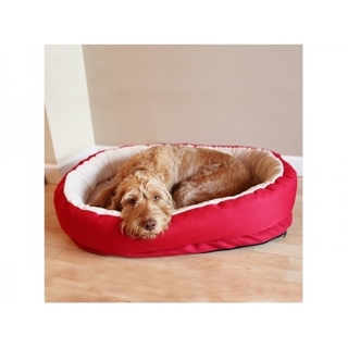 Rosewood Red Orthopedic Bed