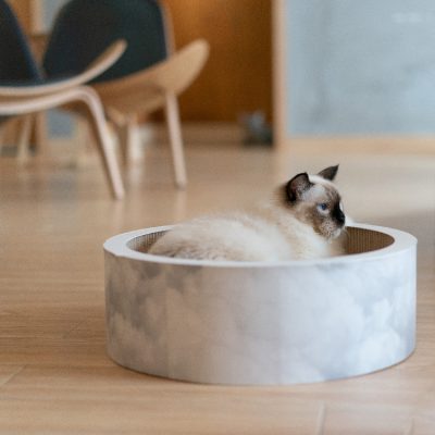 pidan® Cat Scratcher – Bed