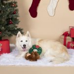 Fringe Studio Christmas Holiday Sloth Hanging from Wreath Plush Squeaker Dog Toy