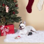 Fringe Studio Christmas Minis Sloth 3-Piece Plush Dog Toy Set