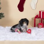 Fringe Studio Christmas Icons Plush Dog Toy 3-Pack