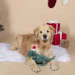 Fringe Studio Holiday Tree Rex Plush Dog Toy