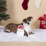 Fringe Studio Christmas Santa Face Durable Plush Stuffing Free Dog Toy